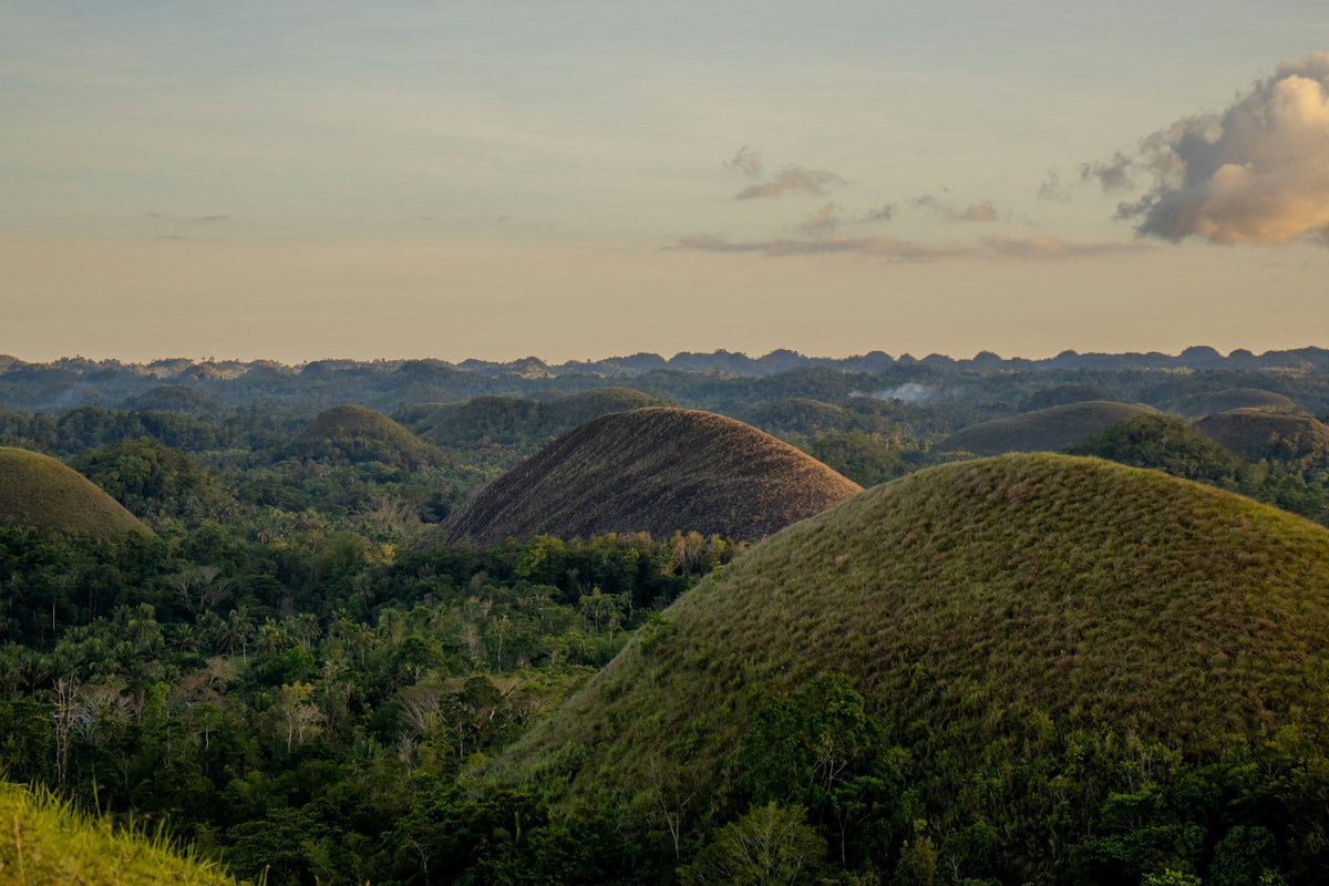From a field in Bohol to your 4 pm.